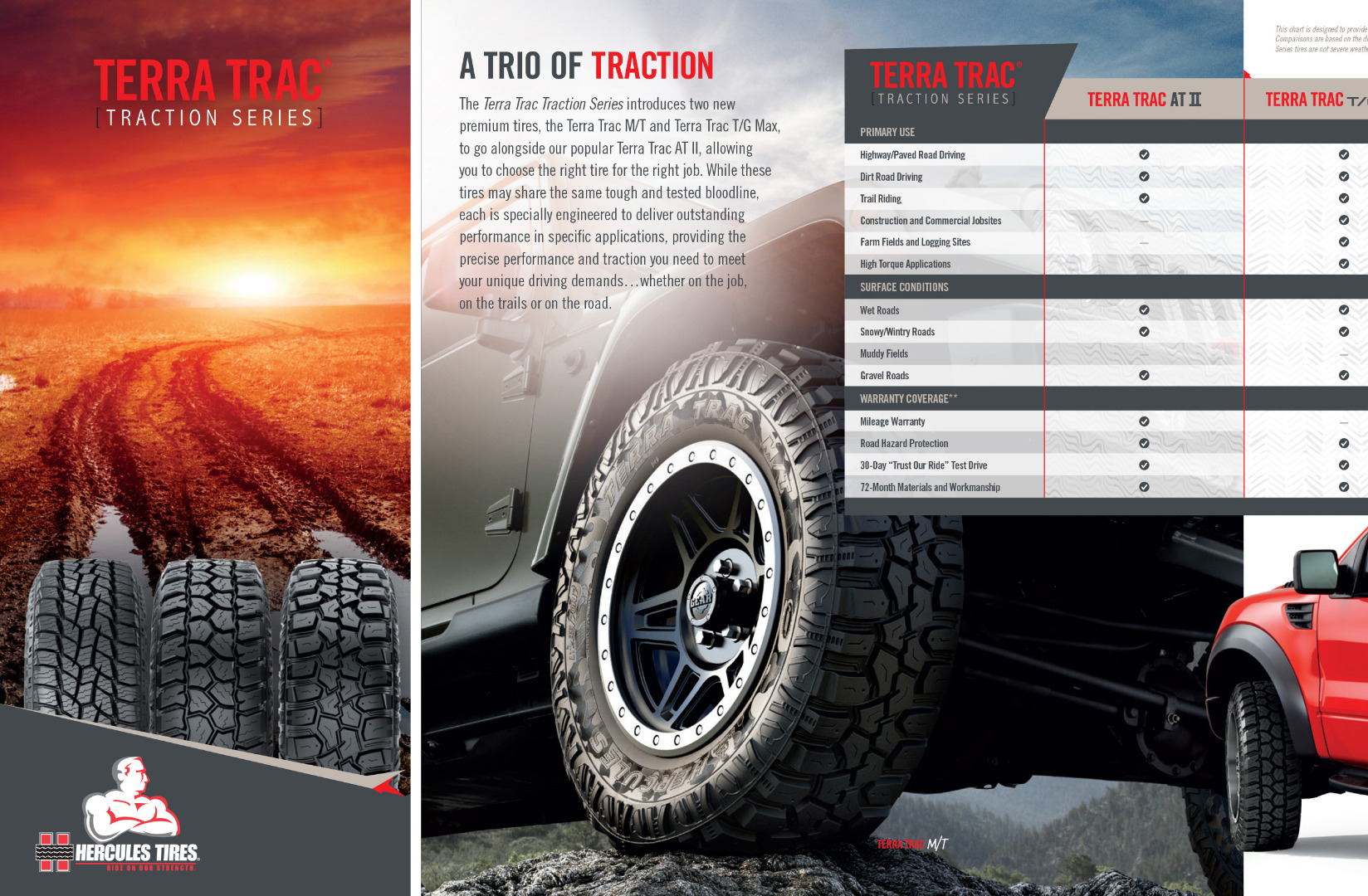 Consumer Brochure