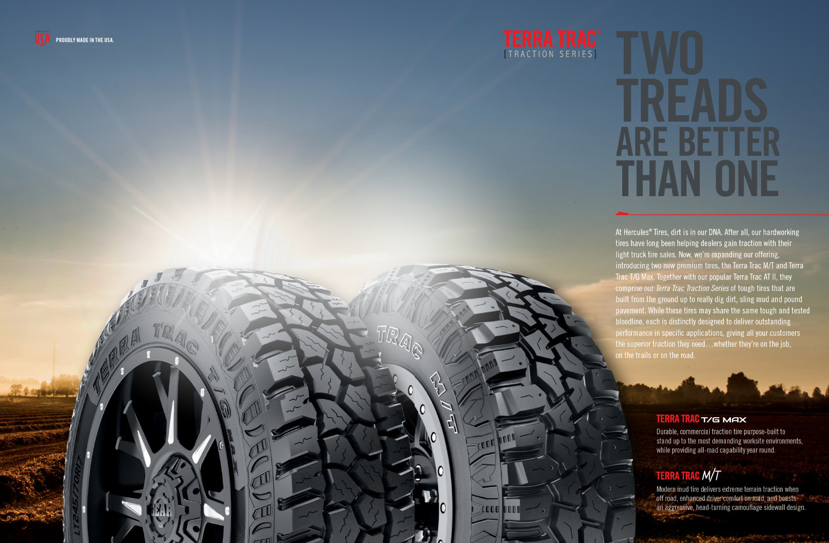 Dealer Brochure (2 of 4)