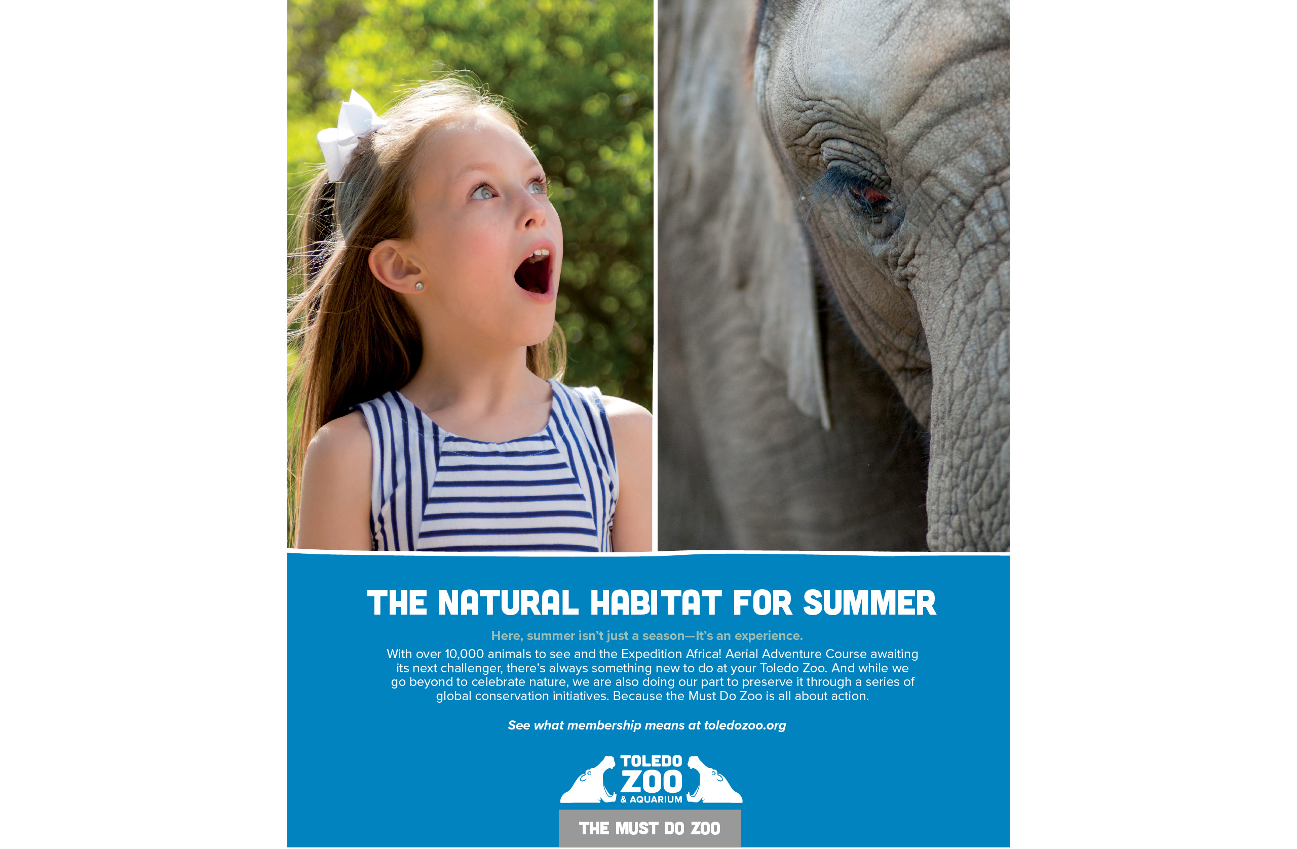 Elephant Print Ad